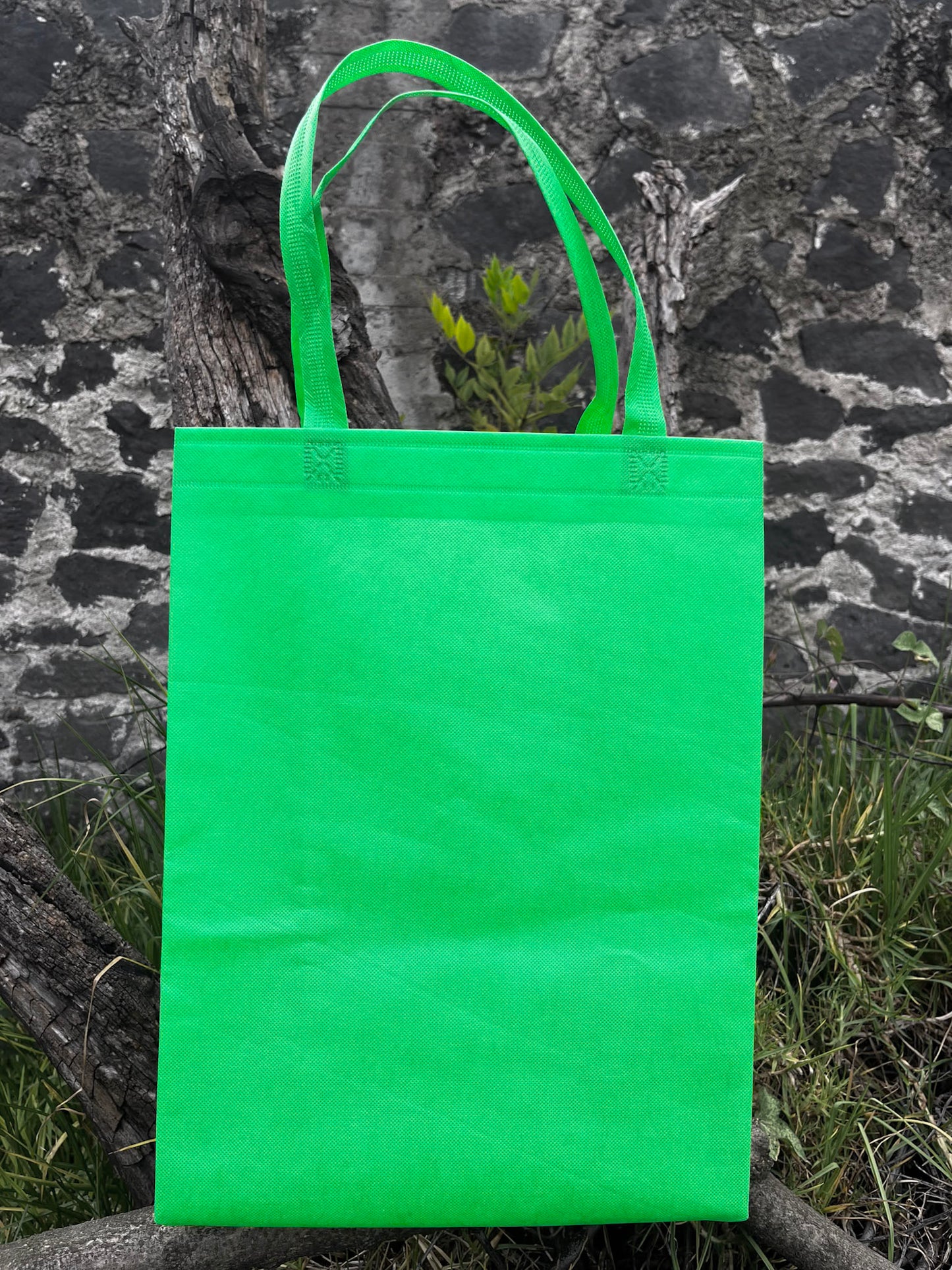 Paquete de bolsas (100pzs)