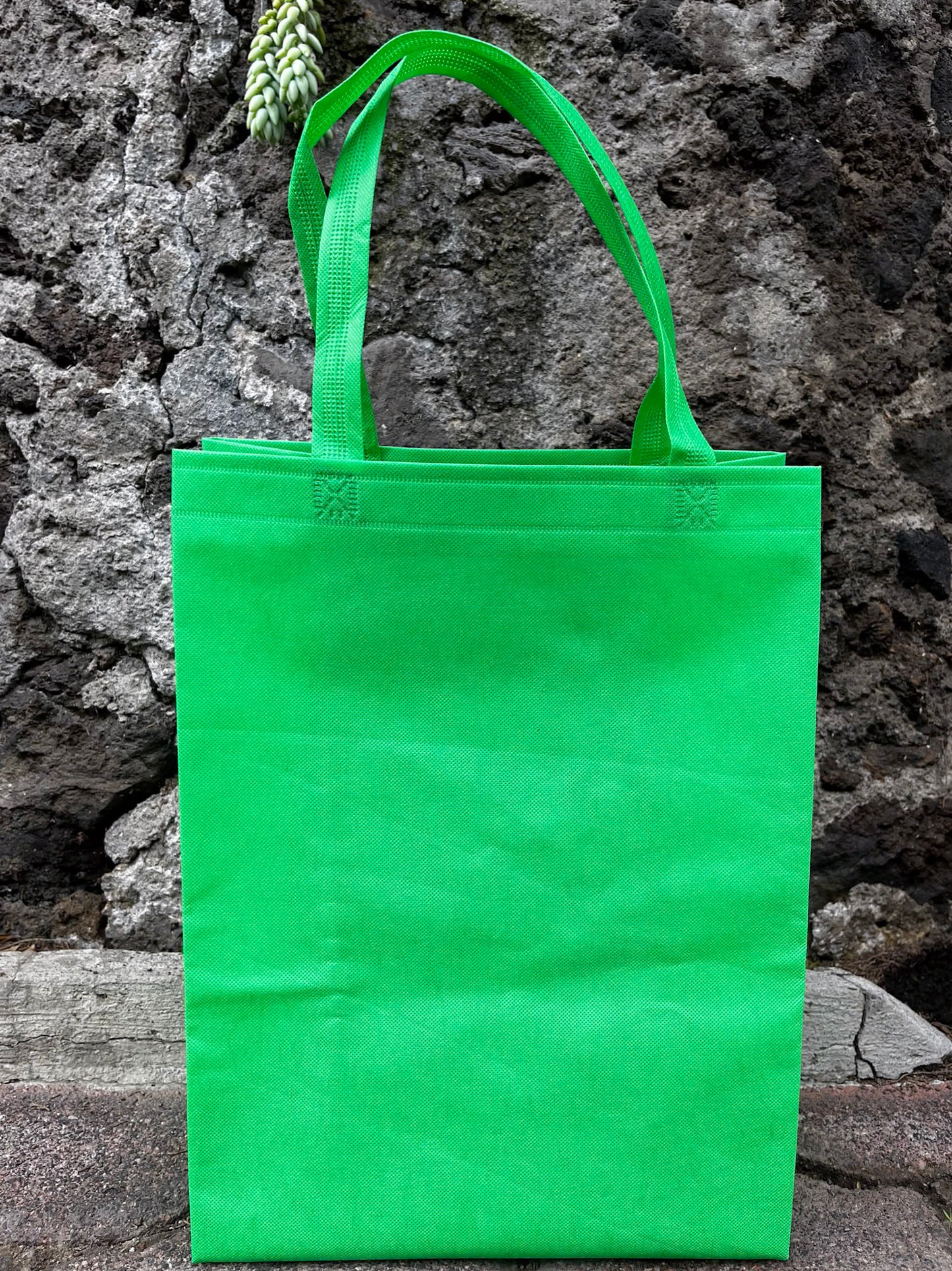 Paquete de bolsas (100pzs)