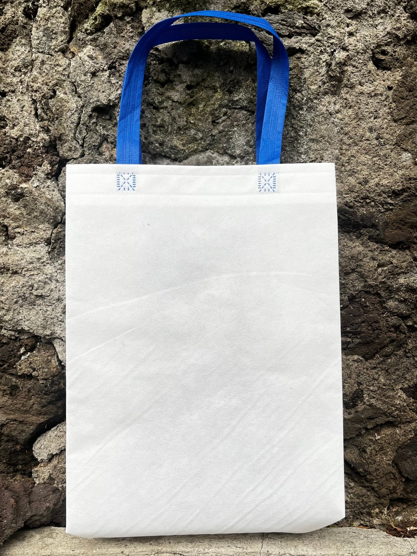 Paquete de bolsas (100pzs)